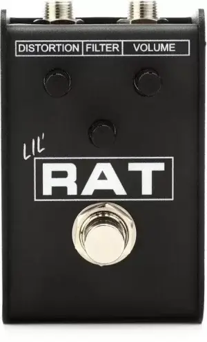 ProCo Lil' Rat at Pittsburgh Guitars